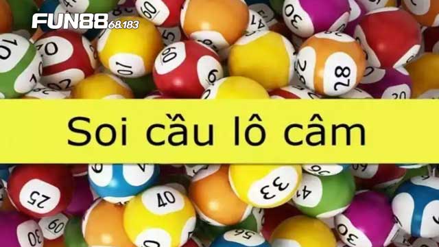 Lô Câm Là Gì?